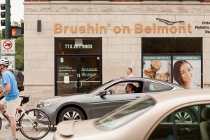 Brushin' on Belmont